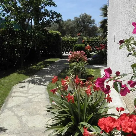 Miljenko Daire Sukošan